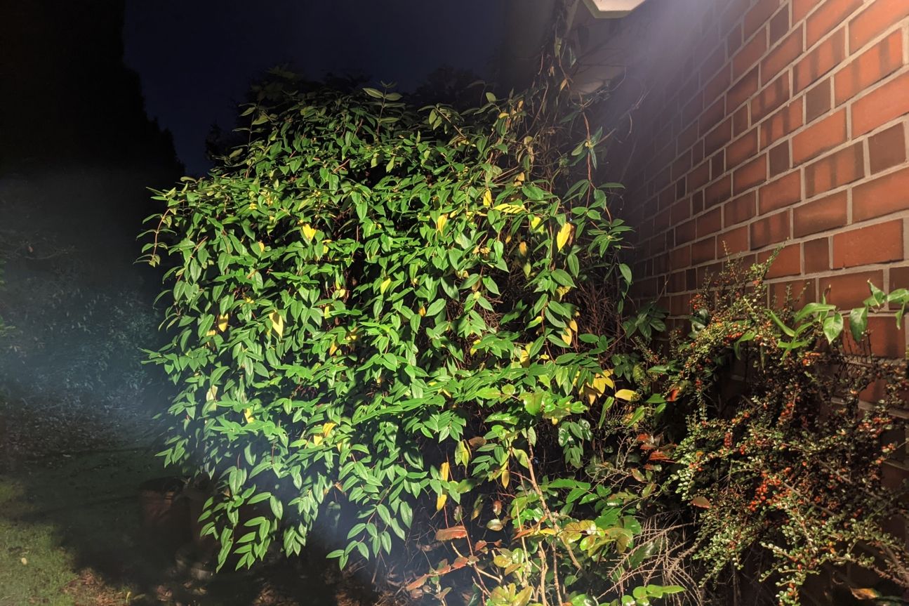 Pixel 5 Nacht4 Google Pixel 5 Foto