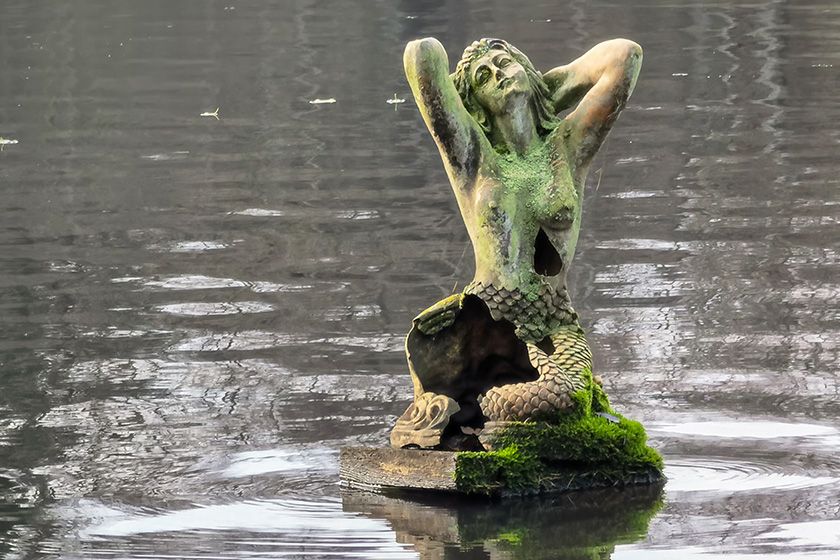 Huawei Mate 40 Pro Statur Mate 40 Pro