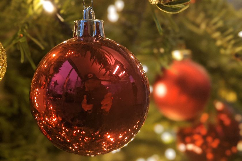 Google Pixel 4a Bokeh 1 Google Pixel 4a Bokeh