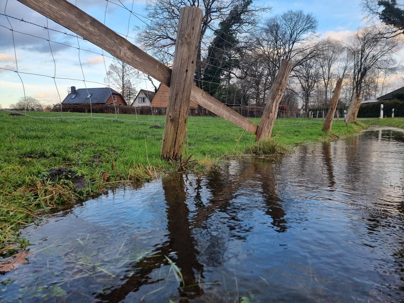 S21 Ultra Test Standard S21 Ultra Test Standard