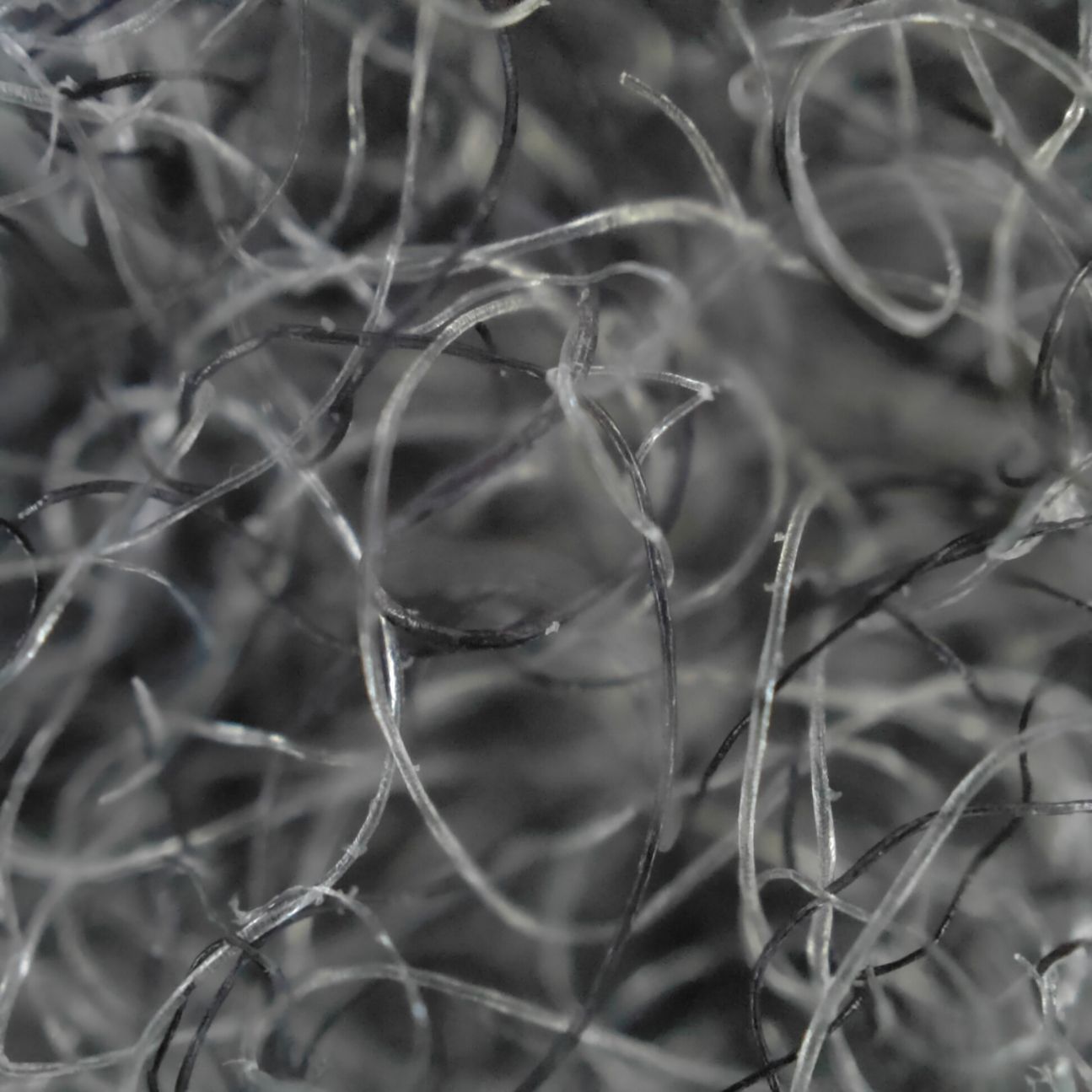 find-x3-pro-mikroskop Oppo Find X3 Pro