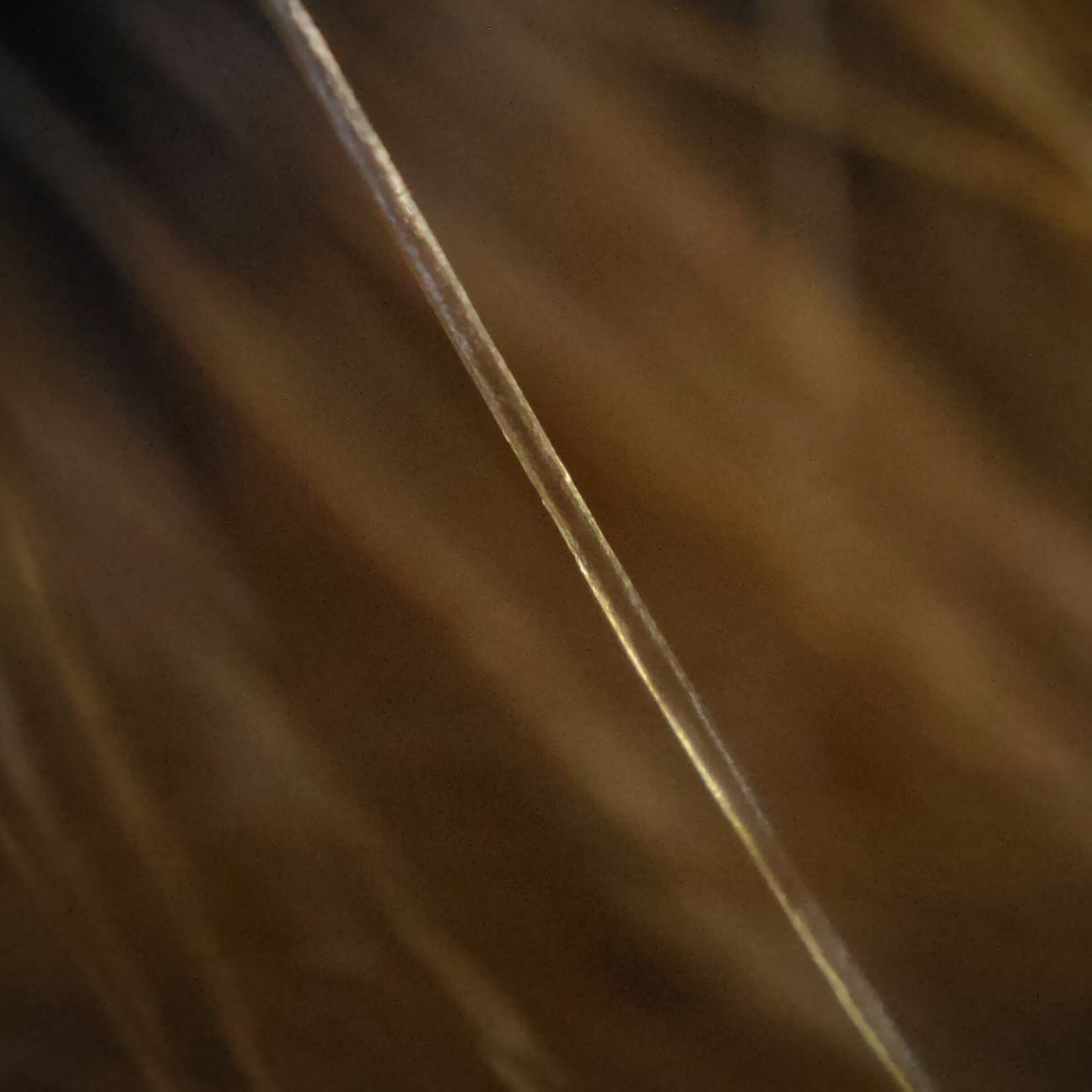 find-x3-pro-mikroskop2 Oppo Find X3 Pro