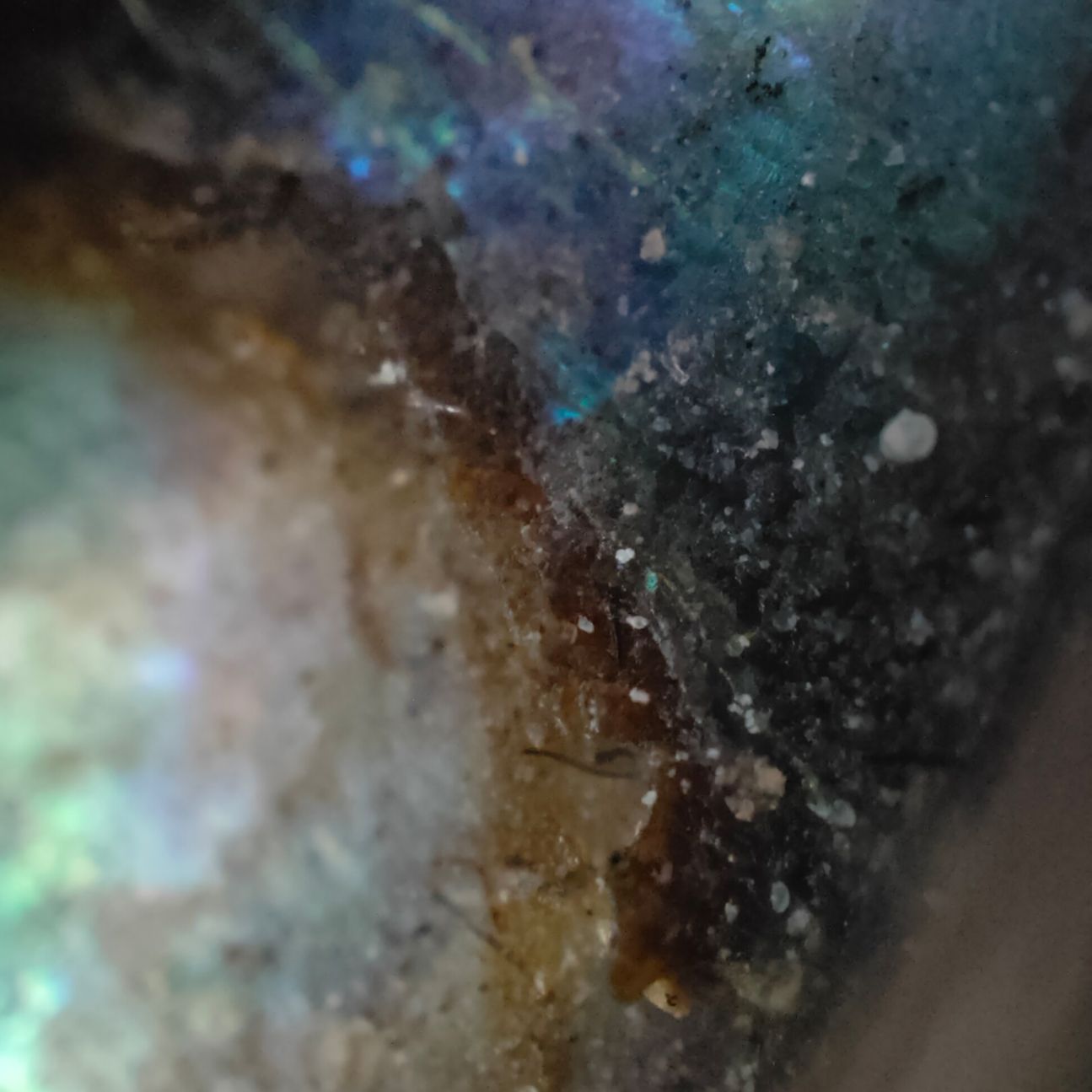 find-x3-pro-mikroskop4 Oppo Find X3 Pro