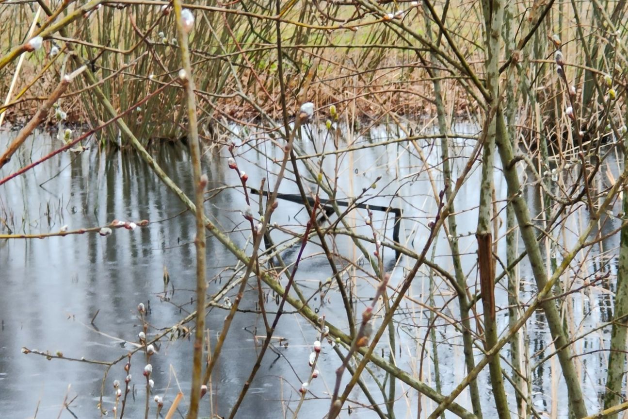 find-x3-pro-see-5x Oppo Find X3 Pro