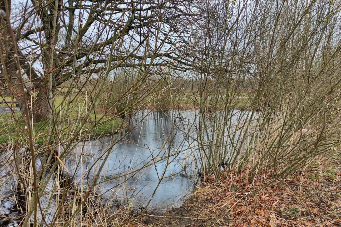 find-x3-pro-see-weit Oppo Find X3 Pro