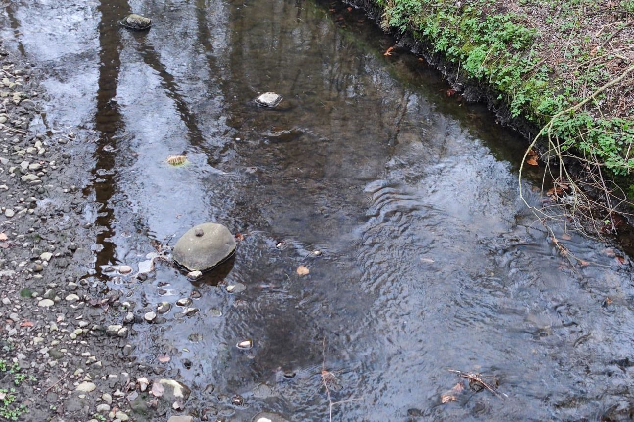 xiaomi-mi-11-fluss-digital-zoom Xiaomi Mi 11