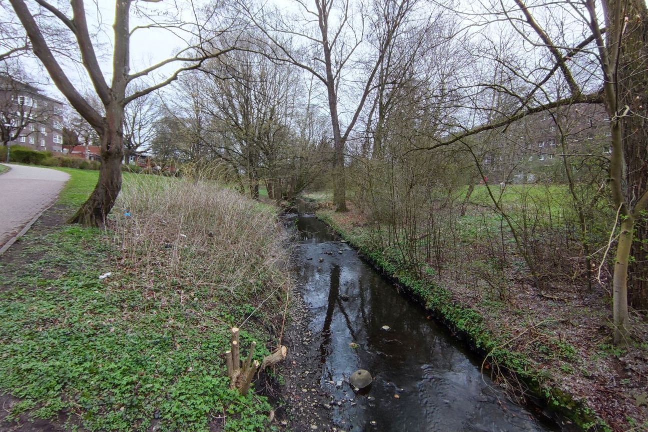 xiaomi-mi-11-fluss-ultraweit Xiaomi Mi 11