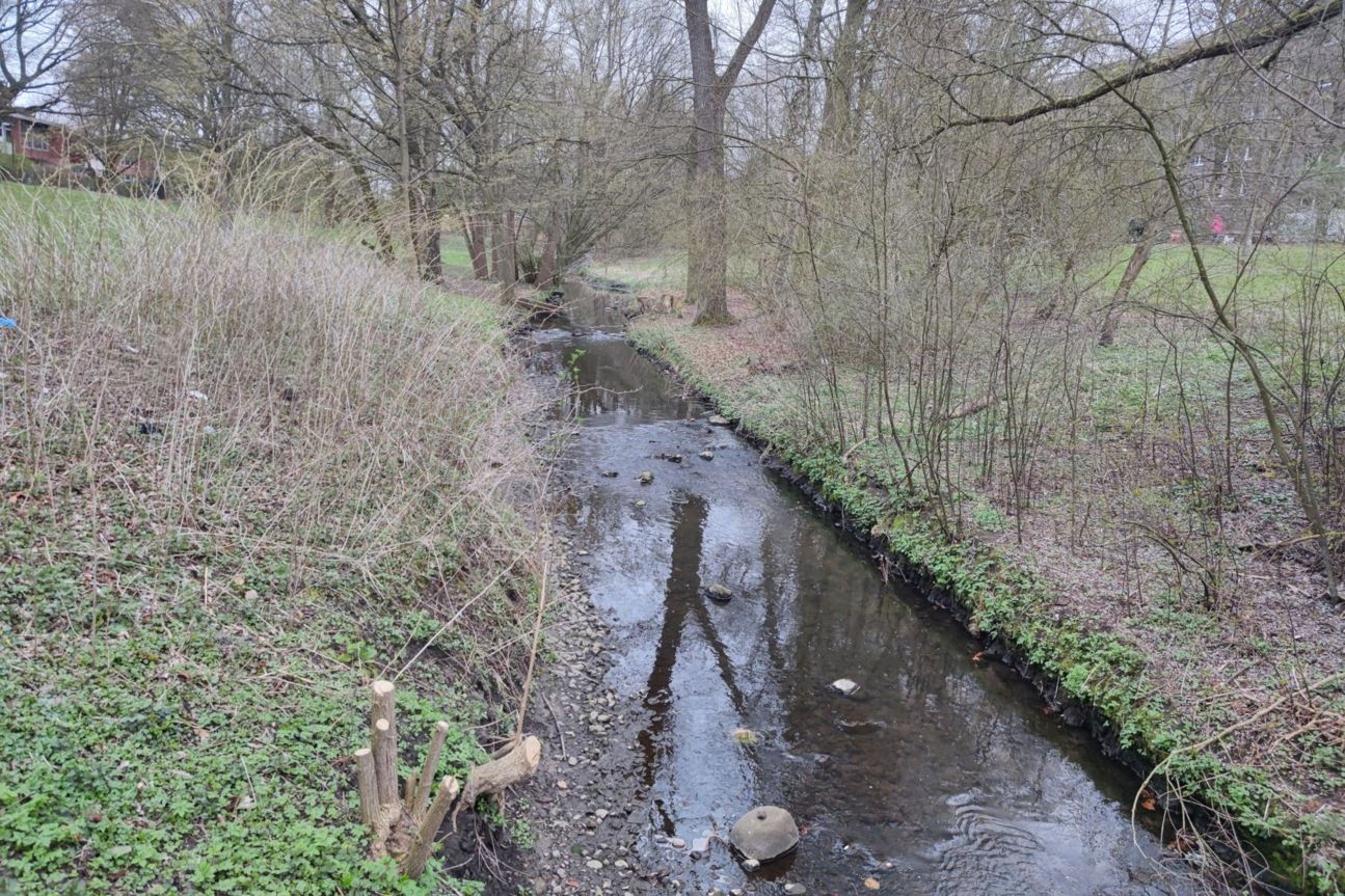 xiaomi-mi-11-fluss-weit Xiaomi Mi 11