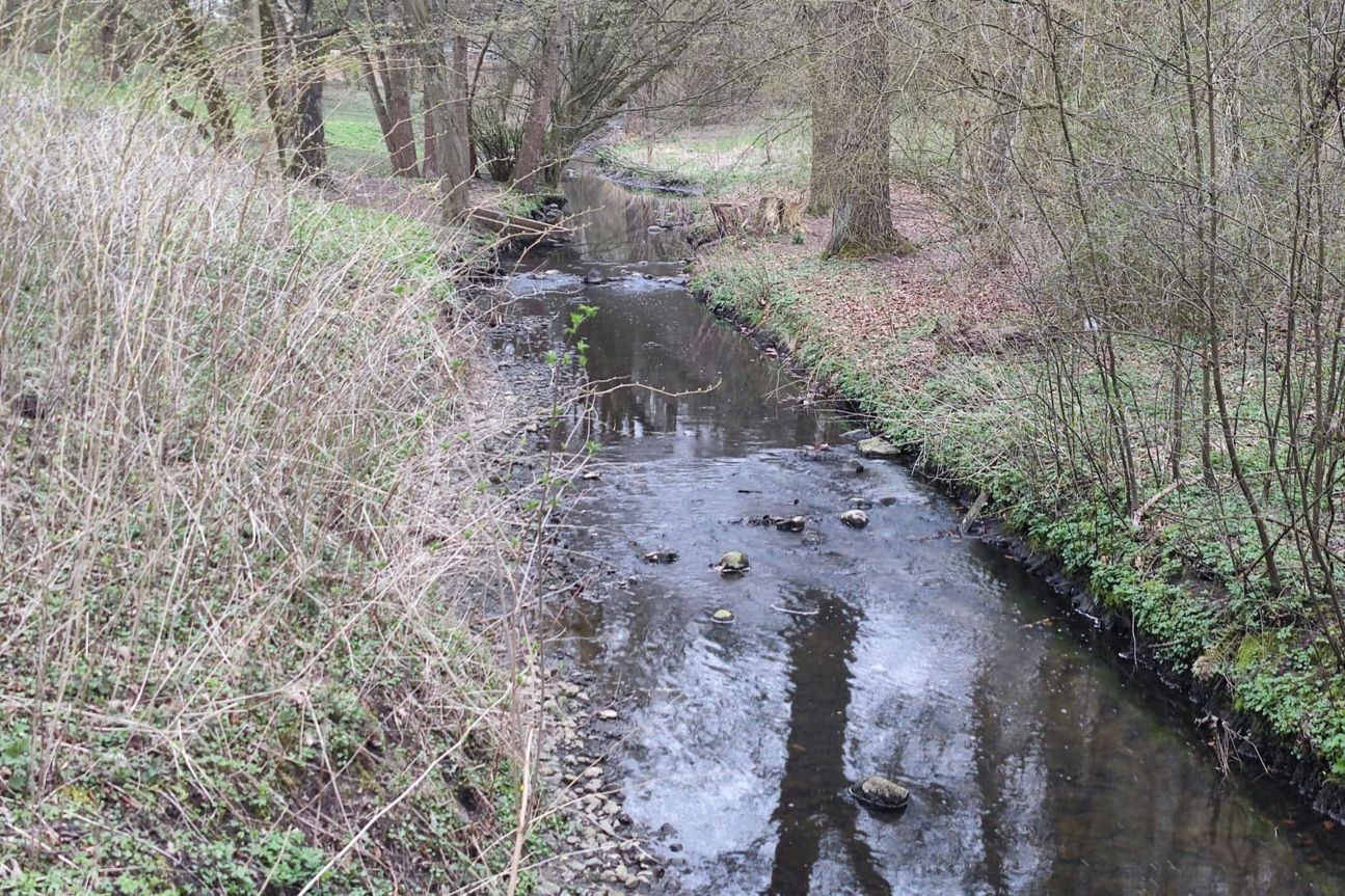 xiaomi-mi-11-fluss-zoom Xiaomi Mi 11