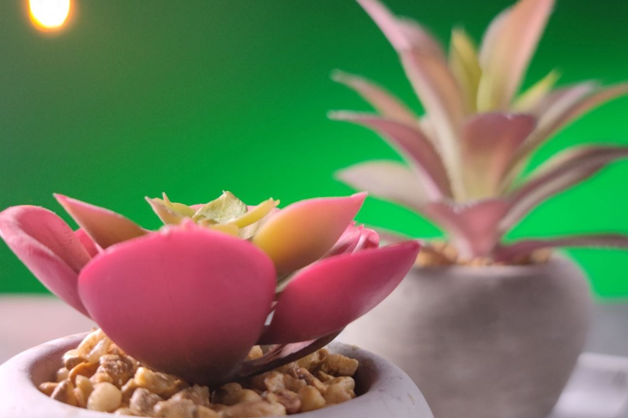 xiaomi-mi-11-studio Xiaomi Mi 11