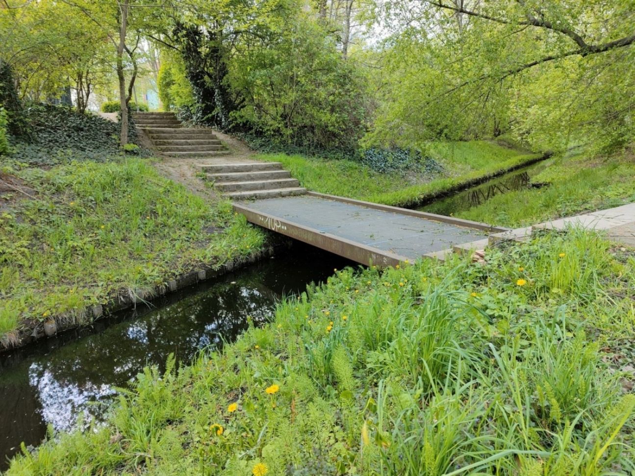 Oppo-Find-X3-Neo-1xzoom Oppo Find X3 Neo 1xzoom