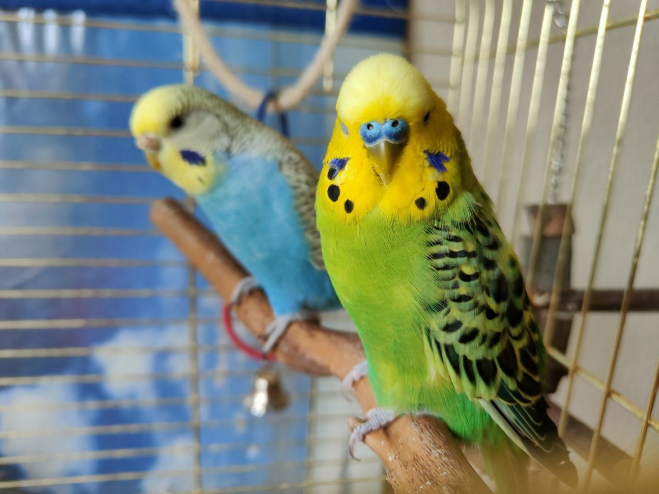 Oppo-Find-X3-Neo-Tiefenunschärfe Oppo Find X3 Neo Tiefenunschärfe