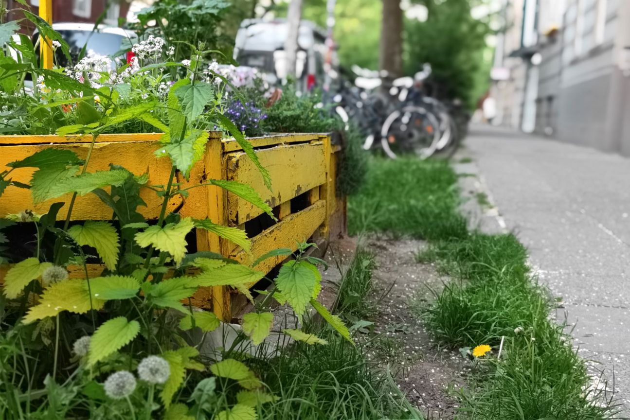 Xiaomi Mi 11 Ultra Kamera Test Bokeh 3 Xiaomi Mi 11 Ultra Kamera Test Bokeh 3