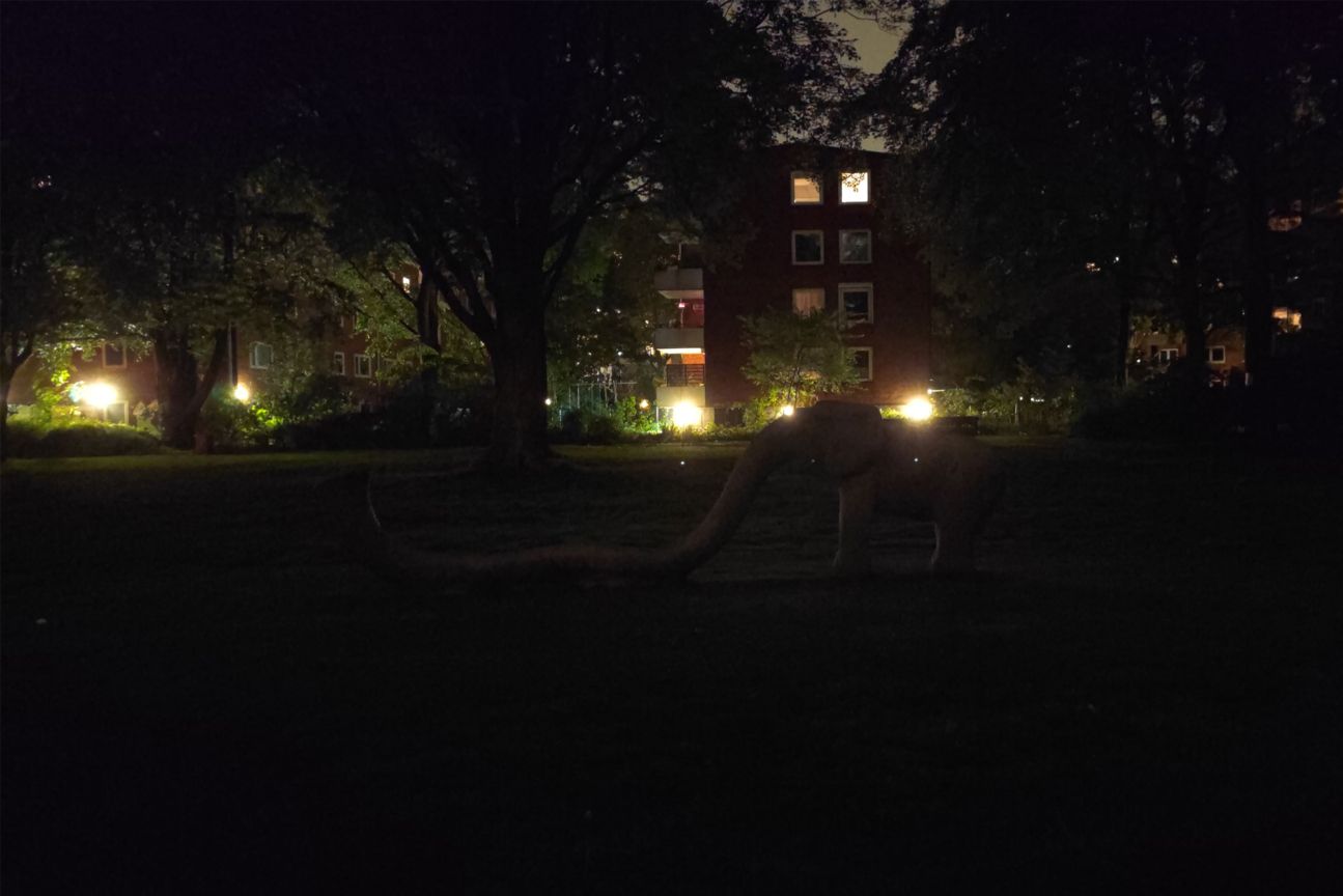 Xiaomi Mi 11 Ultra Kamera Test ohne Nachtmodus Xiaomi Mi 11 Ultra Kamera Test ohne Nachtmodus