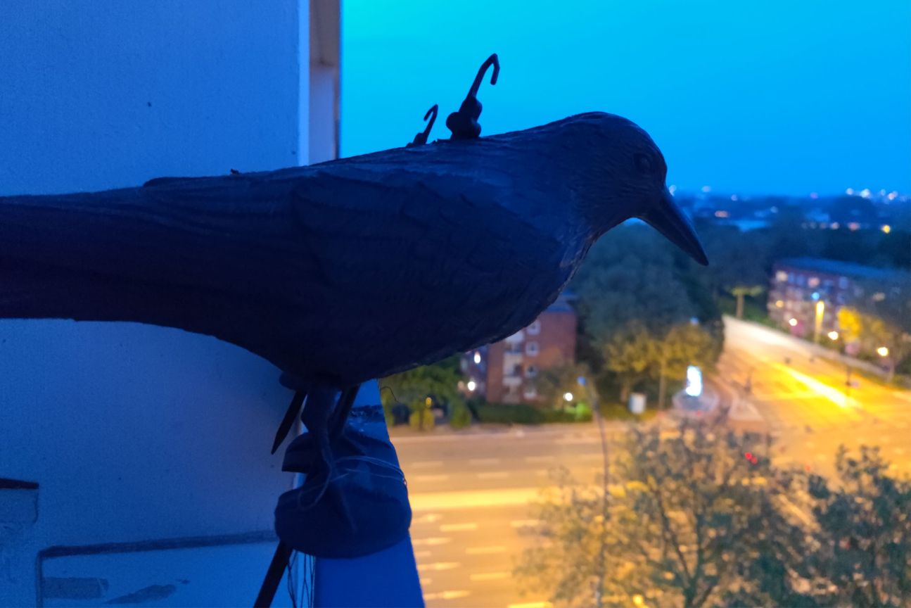 Xiaomi Mi 11 Ultra Test ohne Nachtmodus 2 Xiaomi Mi 11 Ultra Test ohne Nachtmodus 2