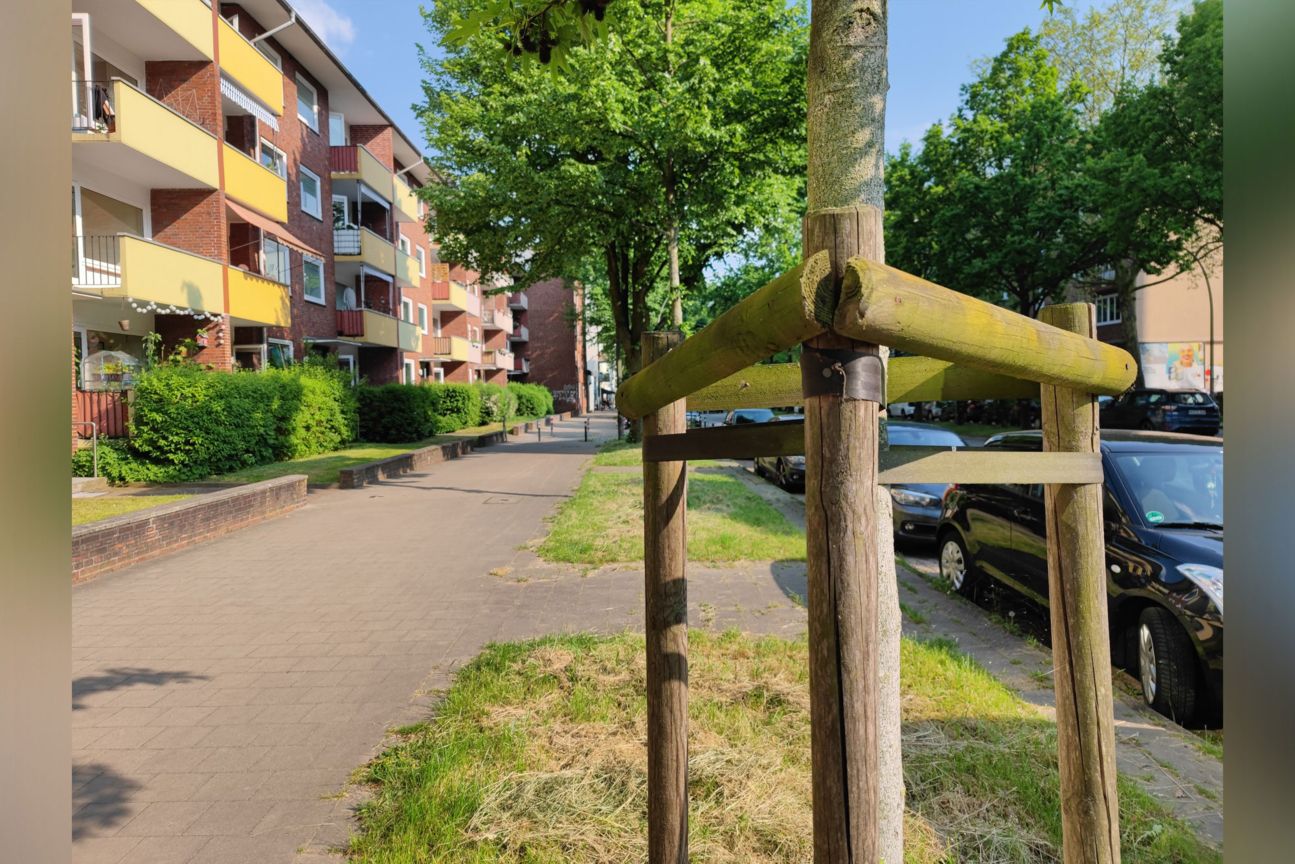 Xiaomi Mi 11 Ultra Weitwinkel-Foto Xiaomi Mi 11 Ultra Weitwinkel-Foto