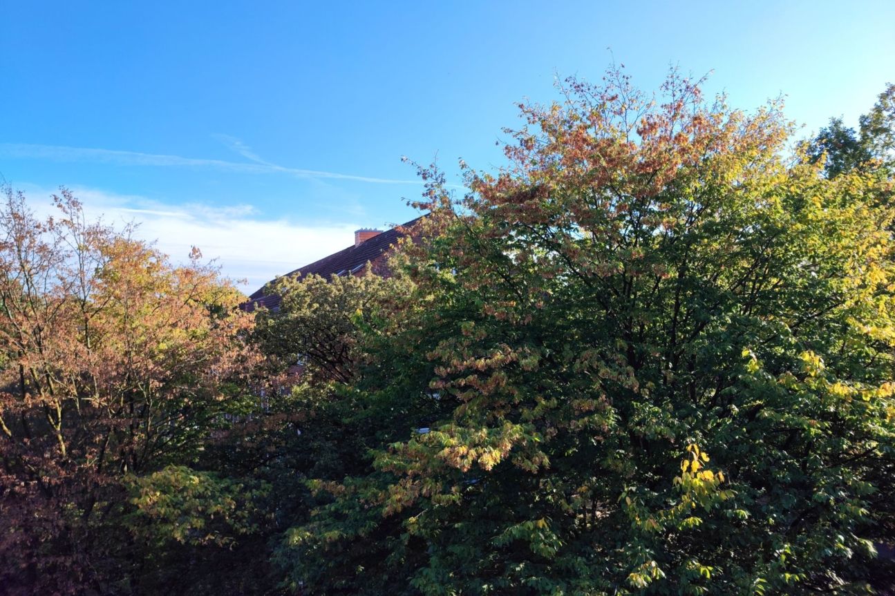 11t-pro-108mp Xiaomi 11T Pro Kamera Test