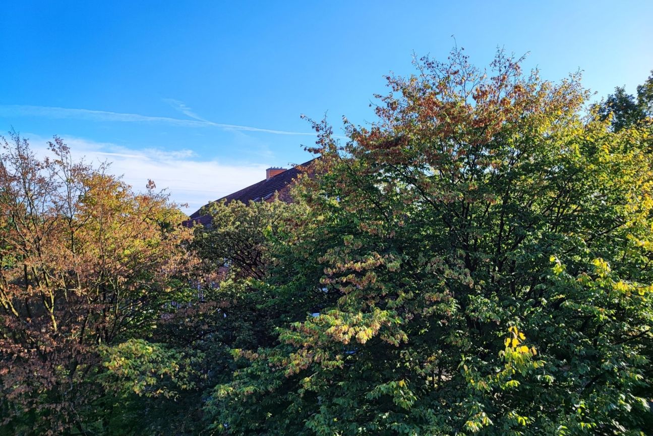 11t-pro-ai-kamera Xiaomi 11T Pro Kamera Test