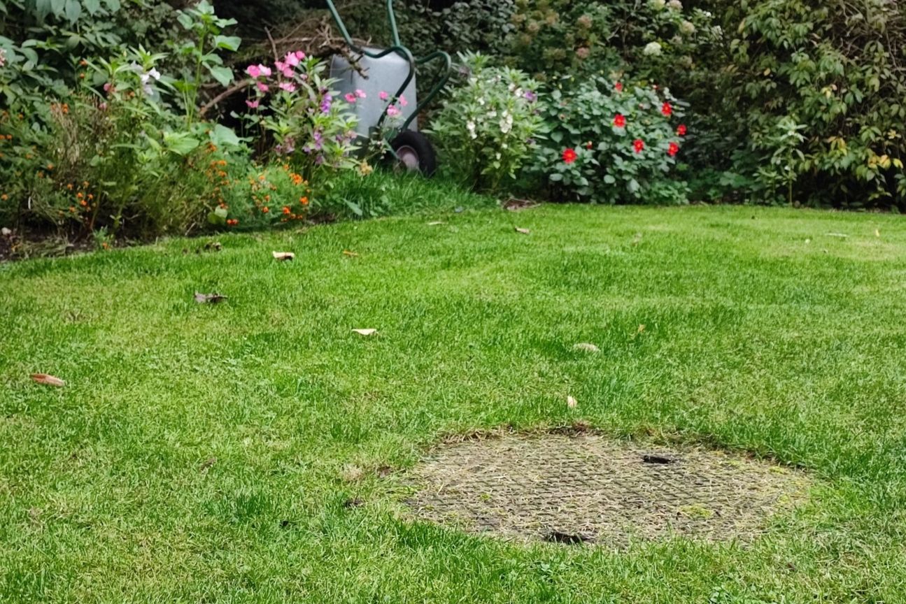 11t-pro-gras-details Xiaomi 11T Pro Kamera Test