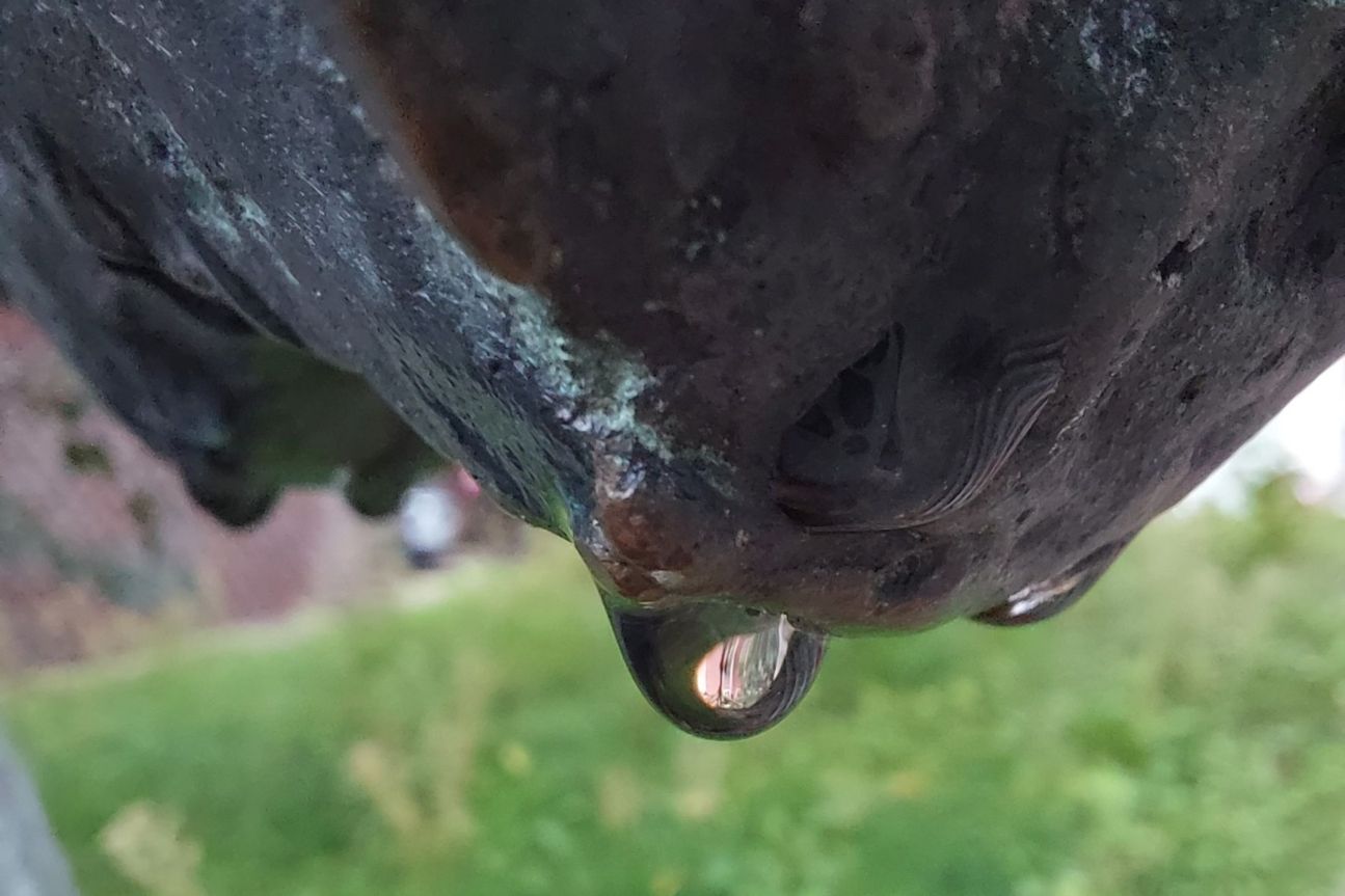 galaxy-a52s-fotos-makro Galaxy A52s Foto Makro Tropfen