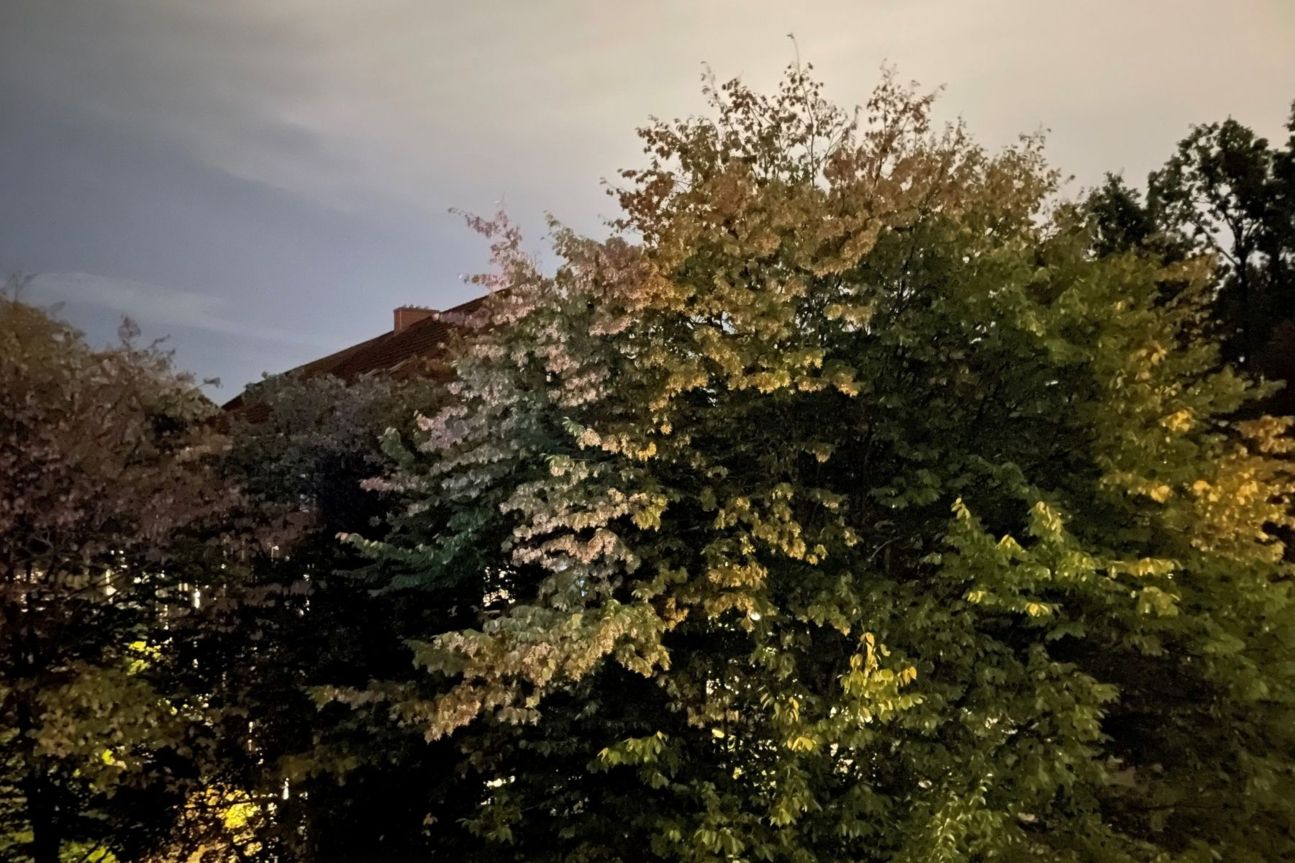 iphone-12-vergleich-11t-pro Xiaomi 11T Pro Kamera Test