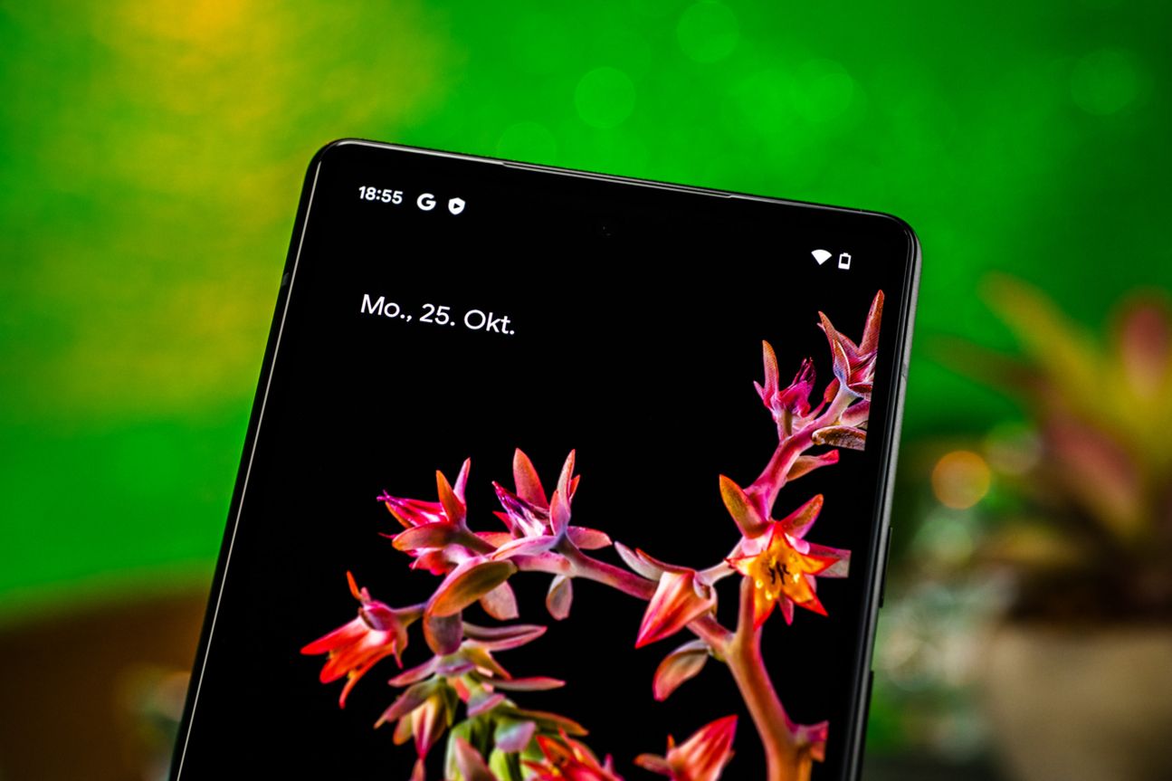 google-pixel-6-bild-01 google-pixel-6-bild-01