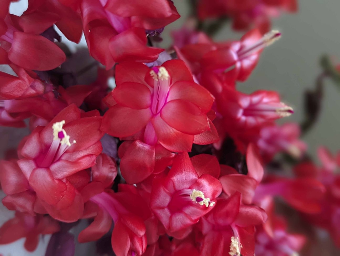 Google Pixel 6 Test Bild 1 Google Pixel 6 Test Bild 1