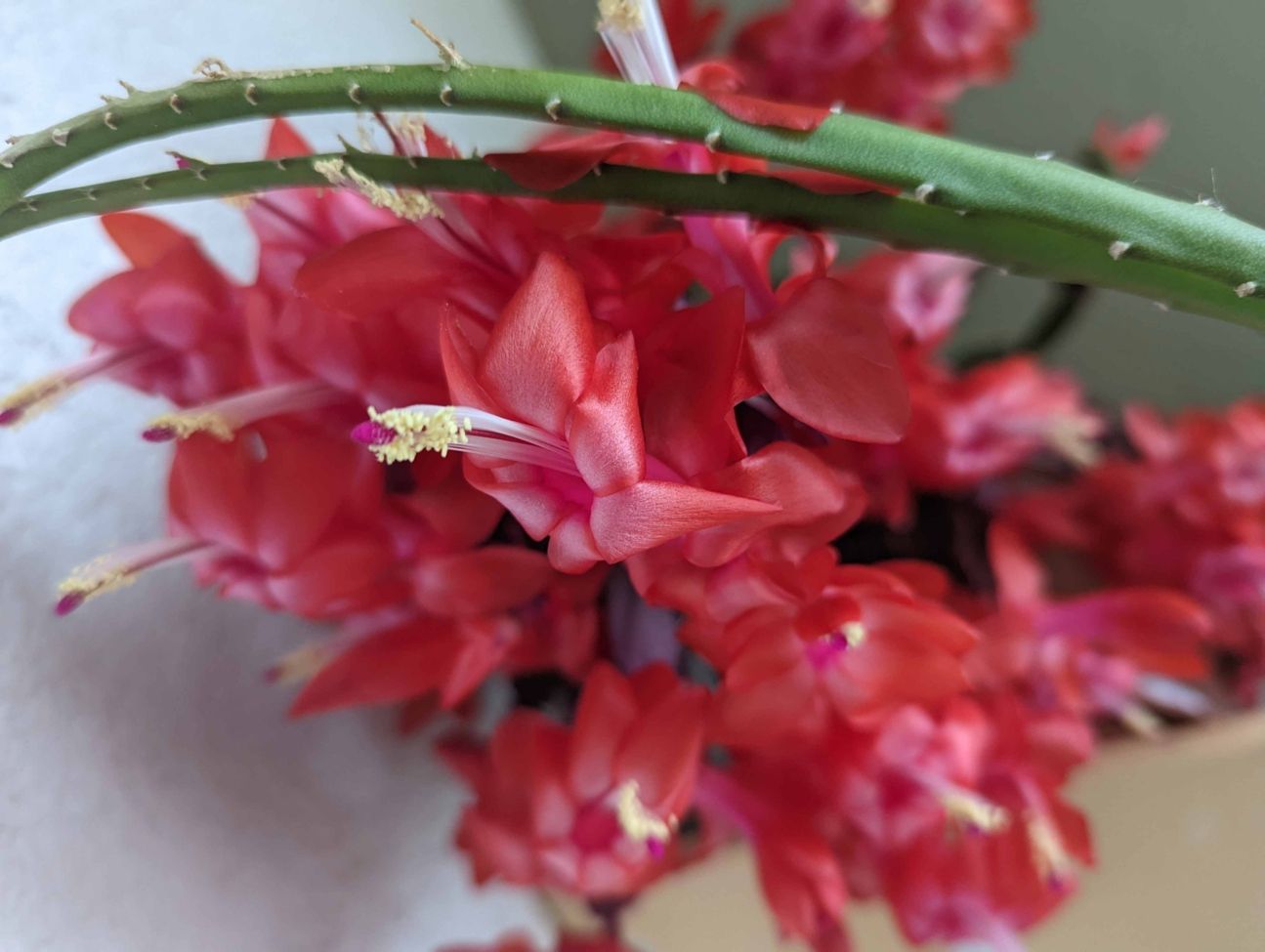 Google Pixel 6 Test Bild 2 Google Pixel 6 Test Bild 2