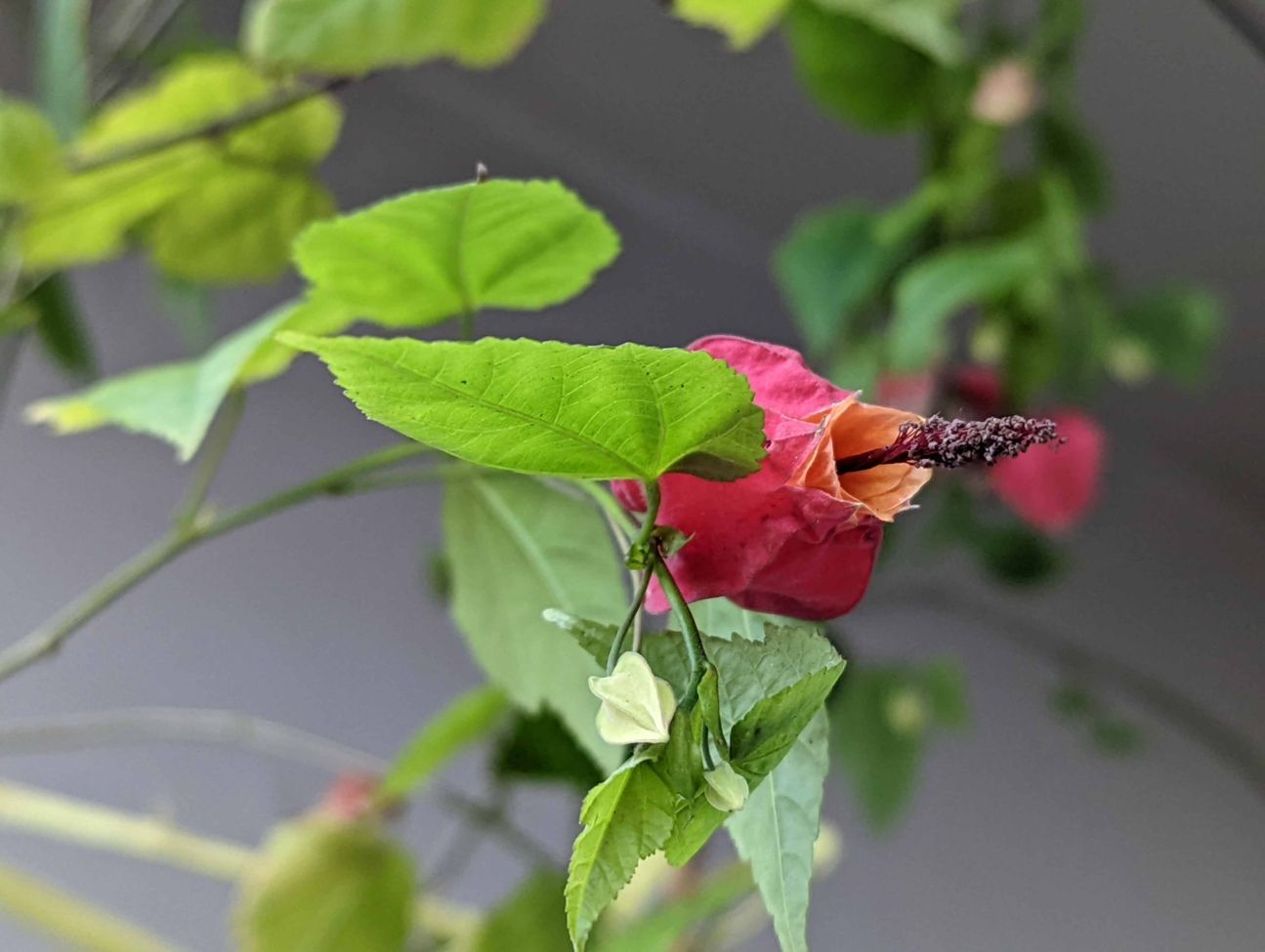 Google Pixel 6 Test Bild 3 Google Pixel 6 Test Bild 3