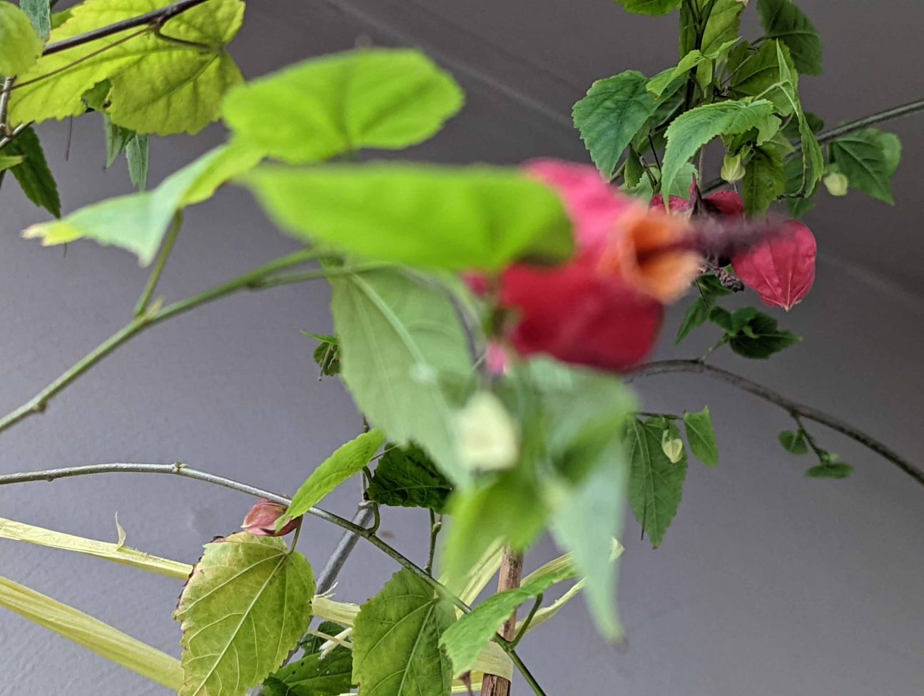 Google Pixel 6 Test Bild 4 Google Pixel 6 Test Bild 4