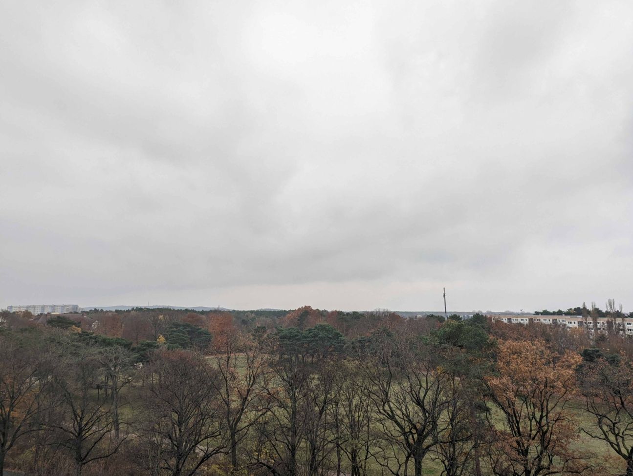 Google Pixel 6 Test Hauptkamera 1 Google Pixel 6 Test Hauptkamera 1