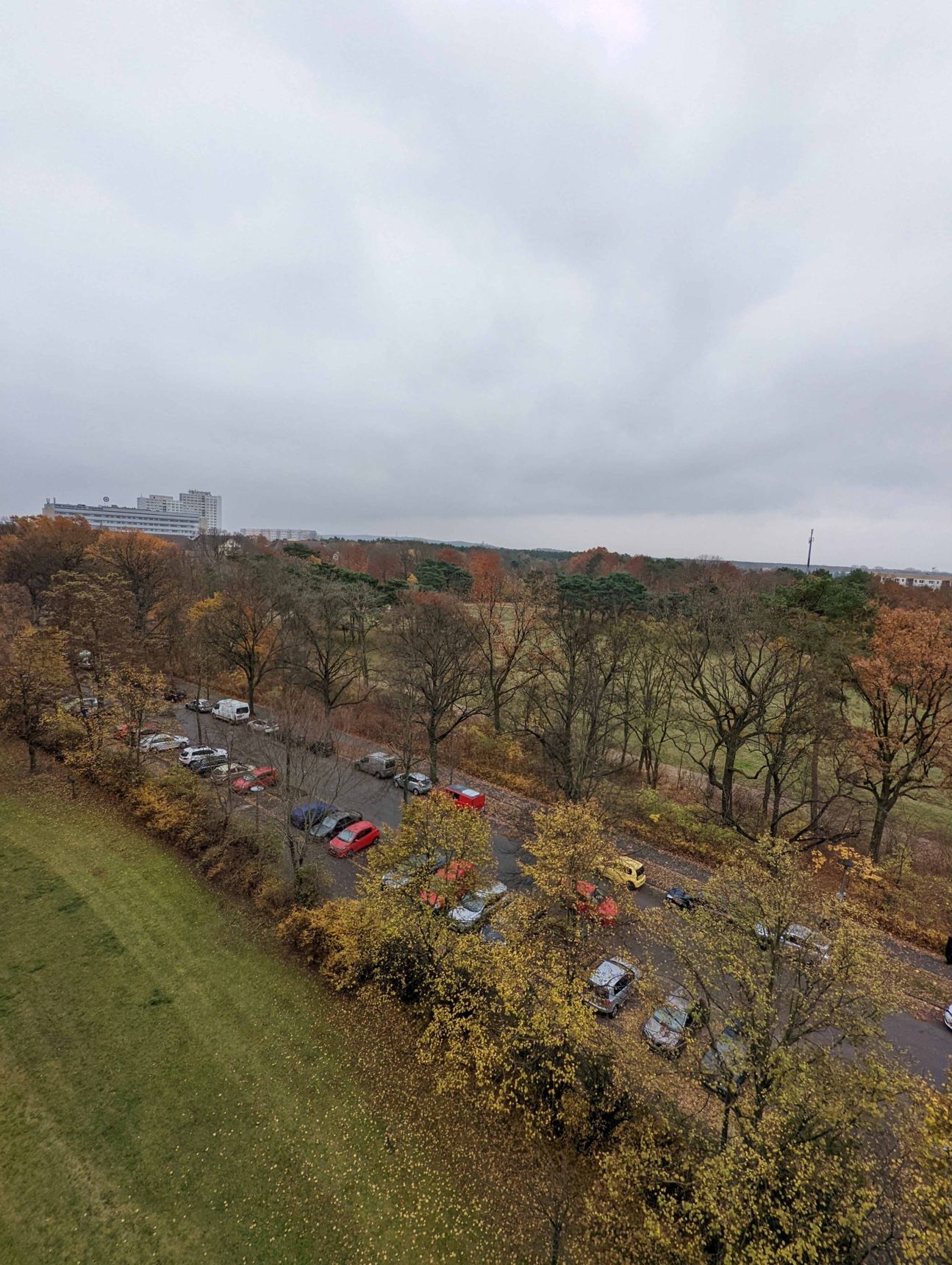 Google Pixel 6 Test Hauptkamera 3 Google Pixel 6 Test Hauptkamera 3