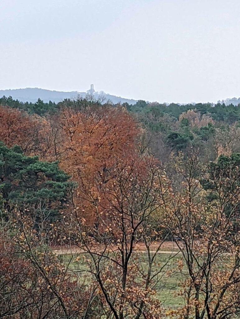 Google Pixel 6 Test Zoom Google Pixel 6 Test Zoom