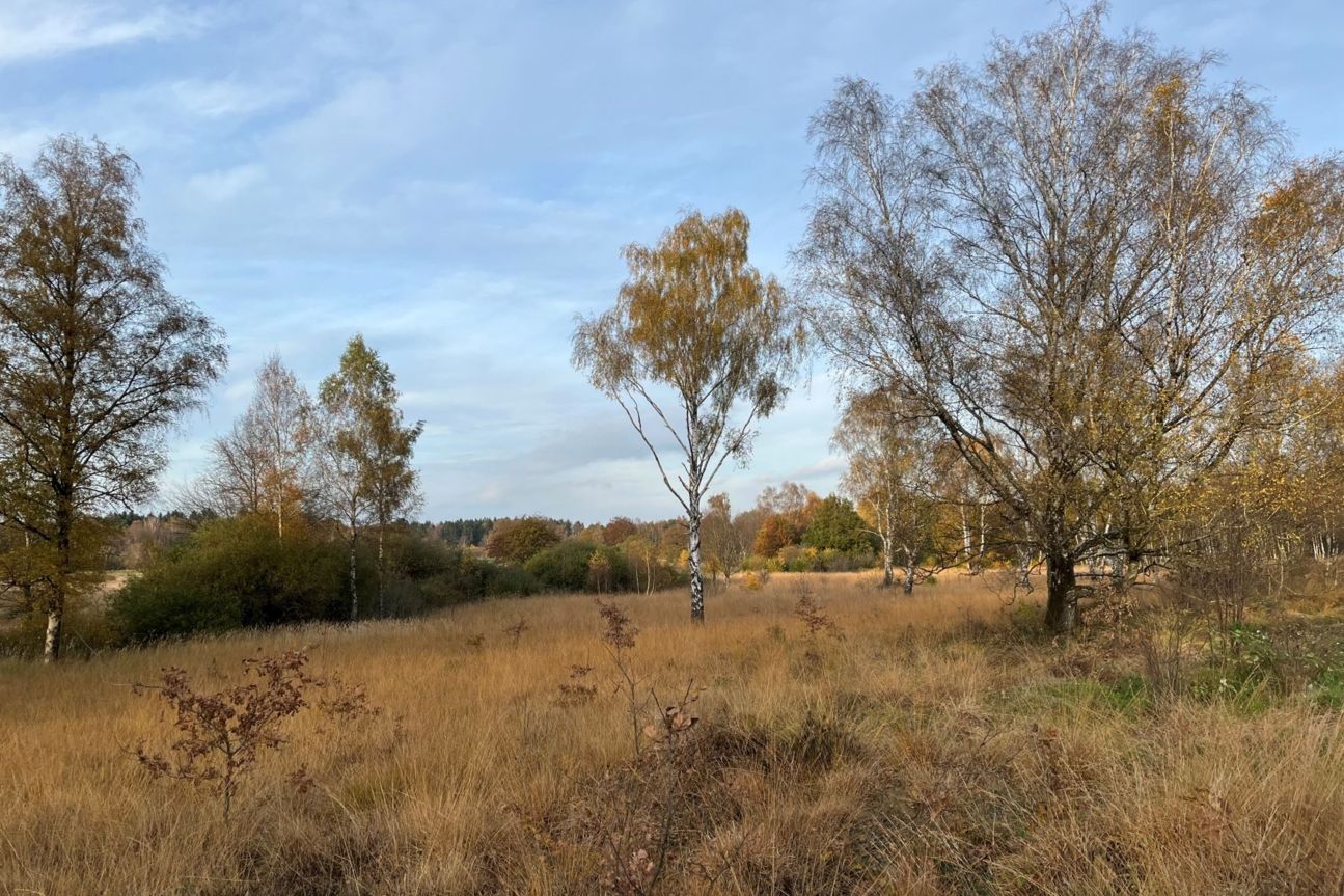 iphone-13-mini-moor3 iPhone 13 mini Kamera Test