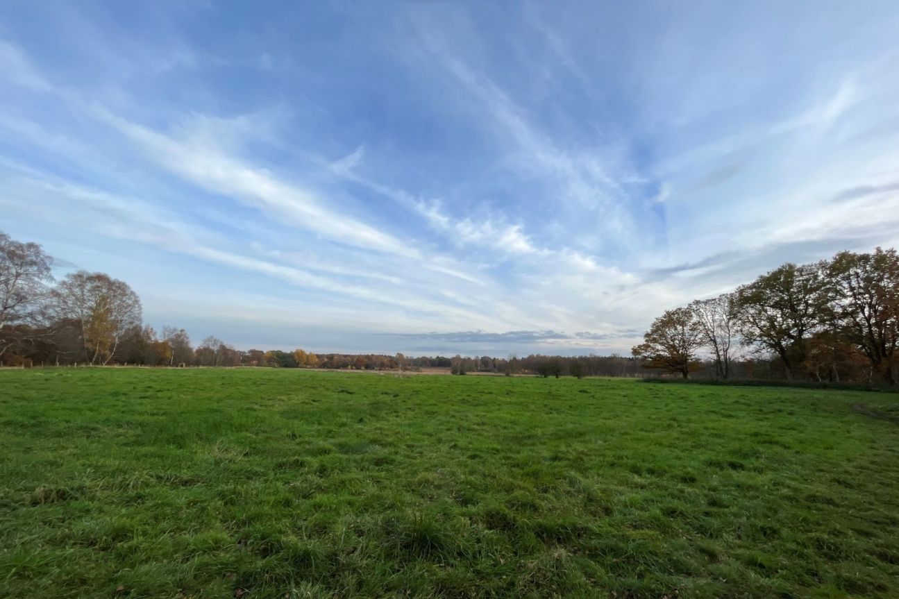 iphone-13-mini-weide iPhone 13 mini Kamera Test