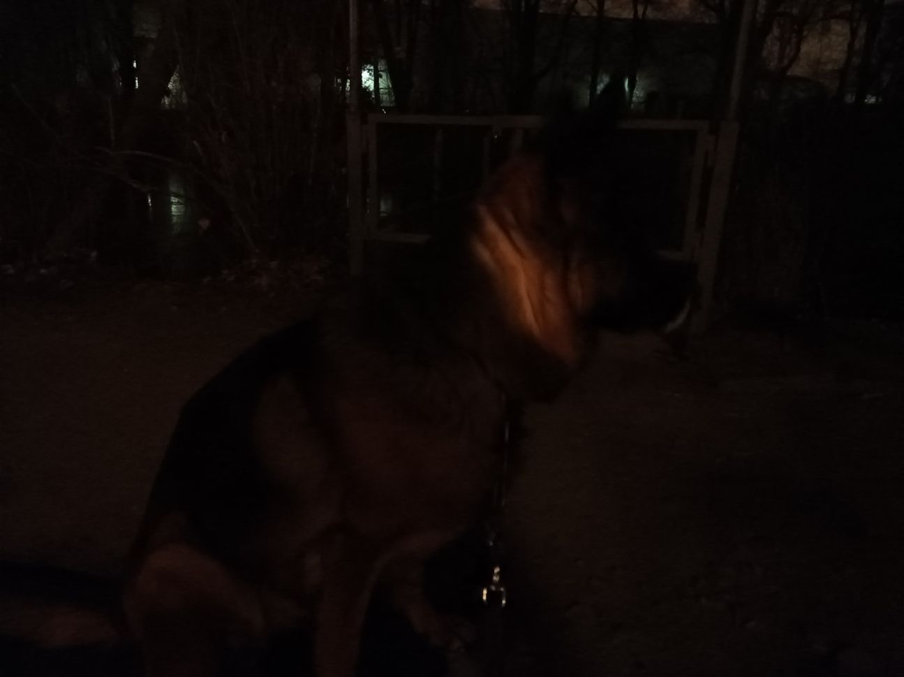 xiaomi-redmi-note-10-test-lowlight1 Xiaomi Redmi Note 10 Test Low-Light-Foto-1