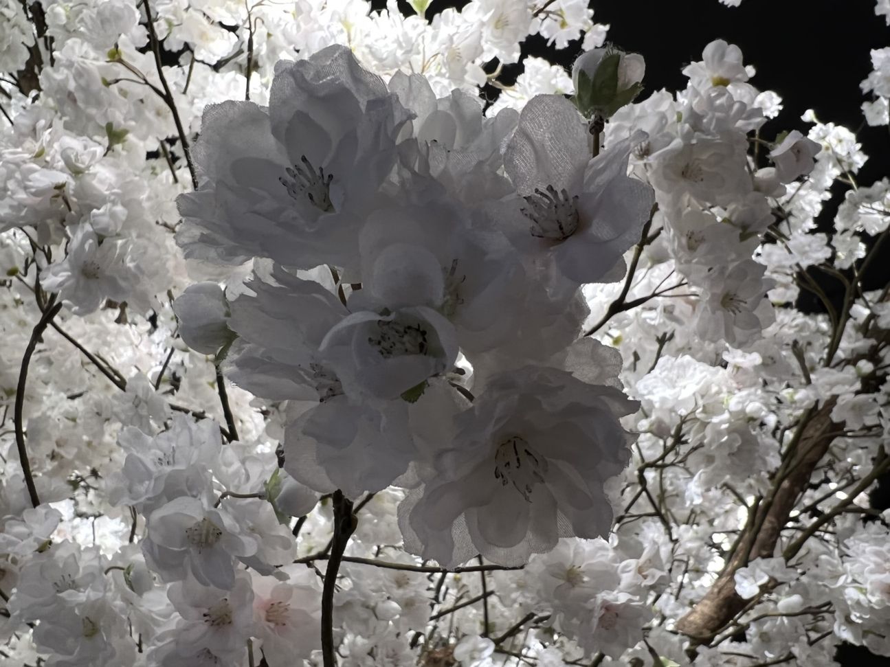 iphone-13-pro-test-gegenlicht-aufnahme iPhone 13 Pro Test Gegenlichtaufnahme