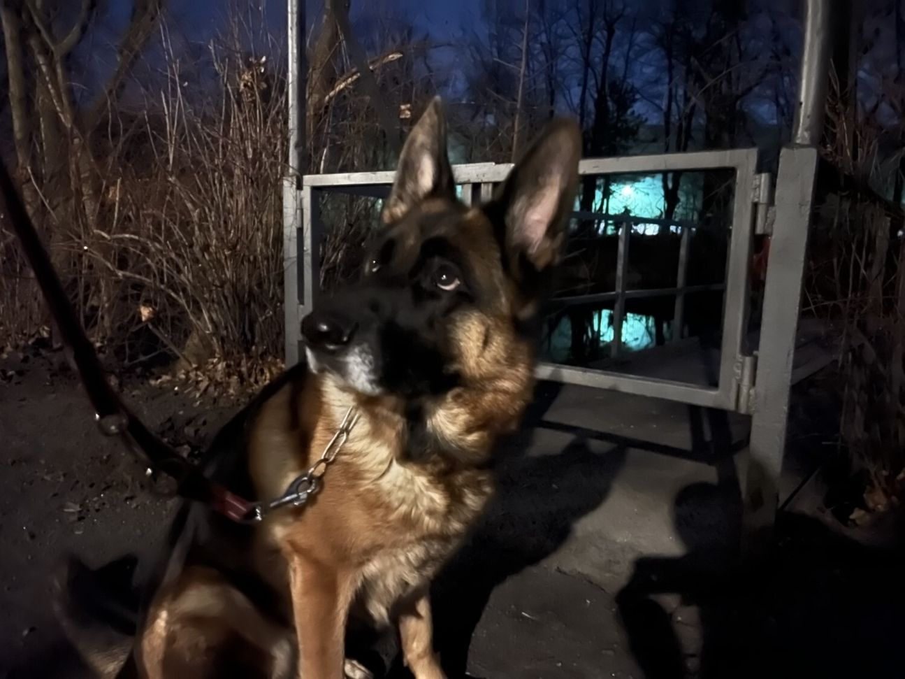 iphone-13-pro-test-nachtfotografie1 iPhone 13 Pro Low-Light-Test 1