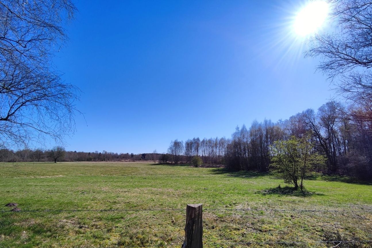 xiaomi-12-foto-gegenlicht Xiaomi 12 Foto Test