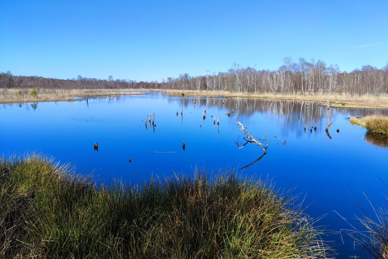 xiaomi-12-foto-großer-teich Xiaomi 12 Foto Test