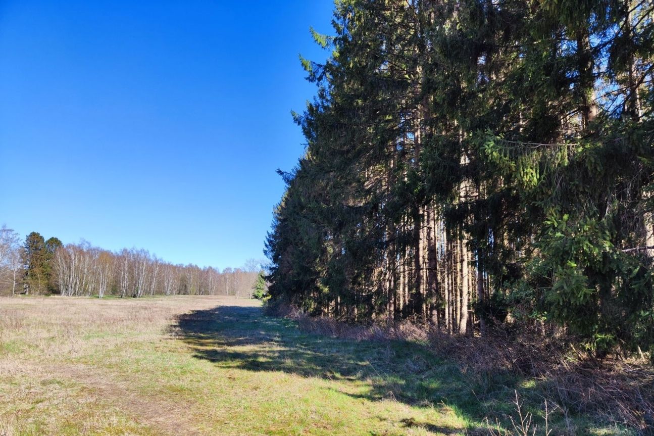 xiaomi-12-foto-hdr Xiaomi 12 Foto Test