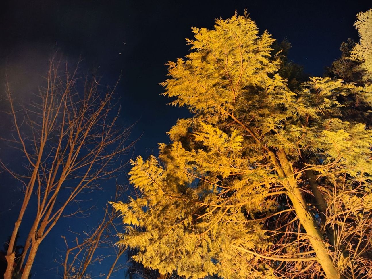 xiaomi-12-foto-nacht-feuerlicht Xiaomi 12 Foto Test