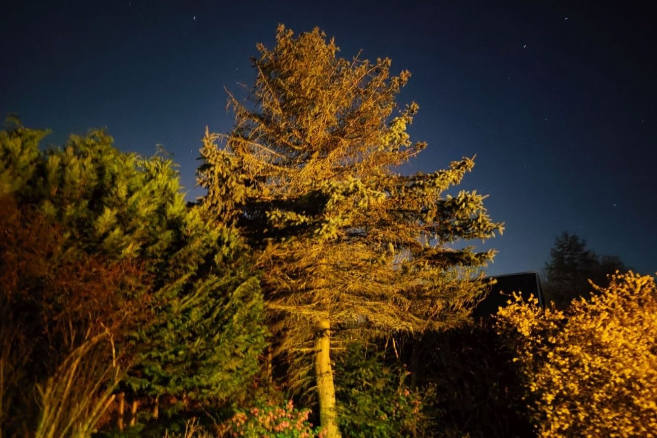 xiaomi-12-foto-tanne Xiaomi 12 Foto Test