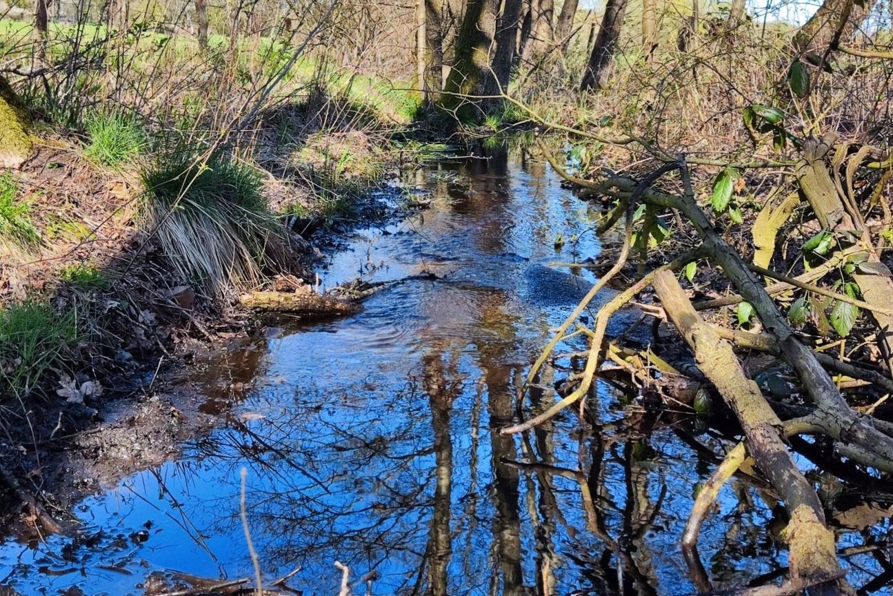 xiaomi-12-foto-wasserzoom Xiaomi 12 Foto Test