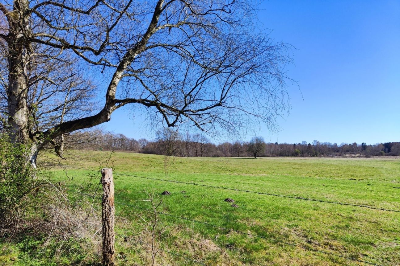 xiaomi-12-foto-wiese Xiaomi 12 Foto Test