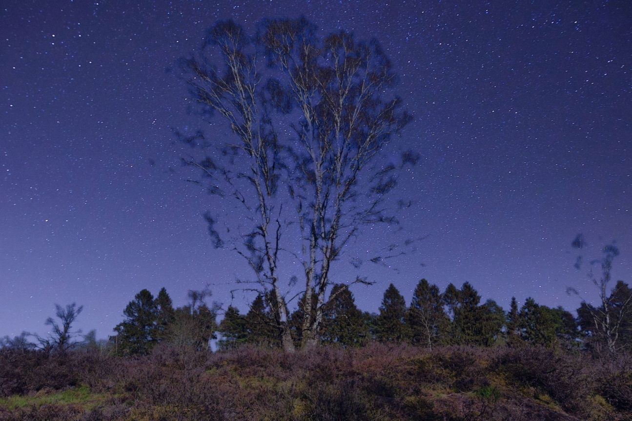 xiaomi-12-himmel-effekt Xiaomi 12 Foto Himmel Feature