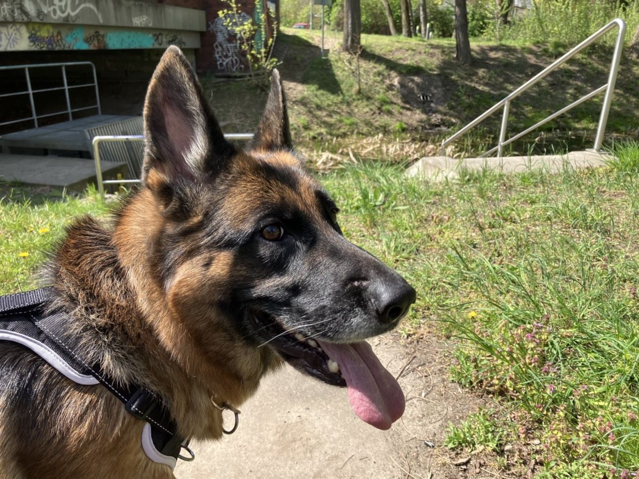 iphone-se-3-testfoto-details1 iPhone SE 3 Testfoto Details 1