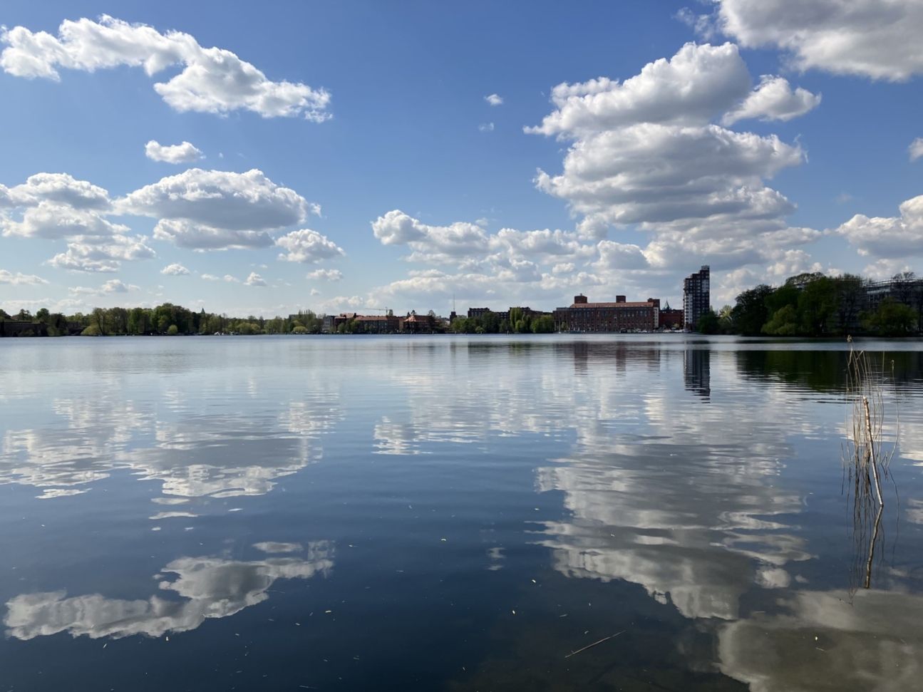 iphone-se-3-testfoto-details2 iPhone SE 3 Testfoto Details 2