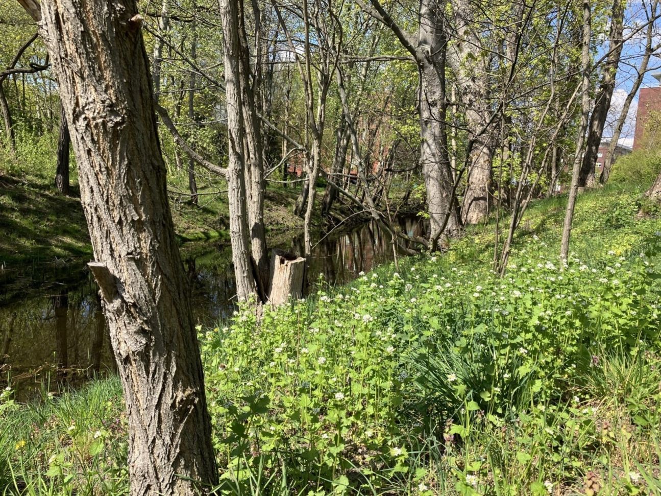 iphone-se-3-testfoto-details3 iPhone SE 3 Testfoto Details 3