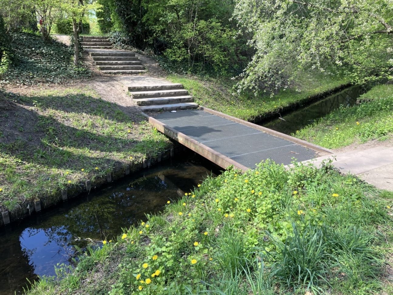 iphone-se-3-zoom-test-1 iPhone SE 3 Zoom-Test 1